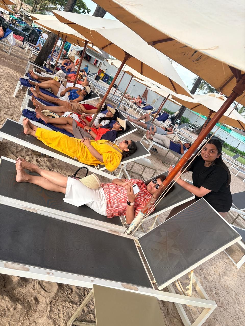 The row of sun loungers